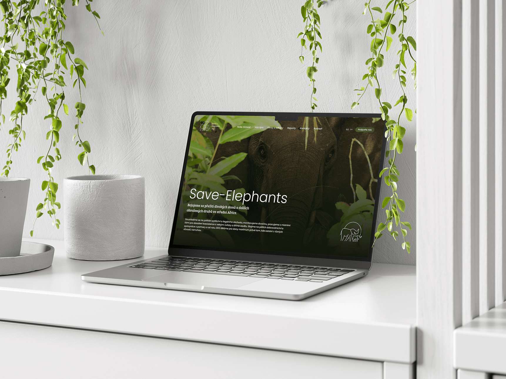 Save Elephants - Showcase 6